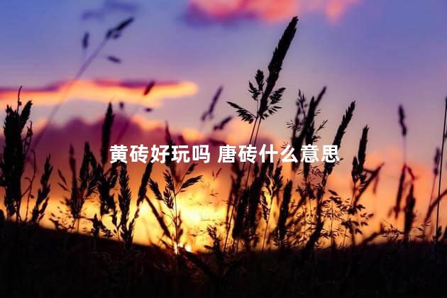 黄砖好玩吗 唐砖什么意思